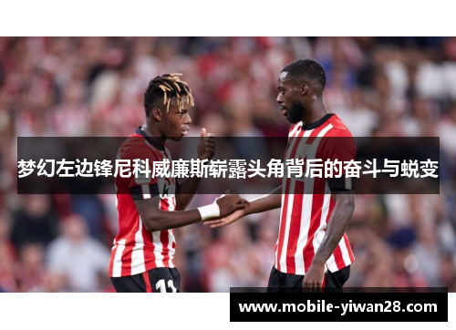 梦幻左边锋尼科威廉斯崭露头角背后的奋斗与蜕变 梦幻左边锋尼科威廉斯崭露头角背后的奋斗与蜕变