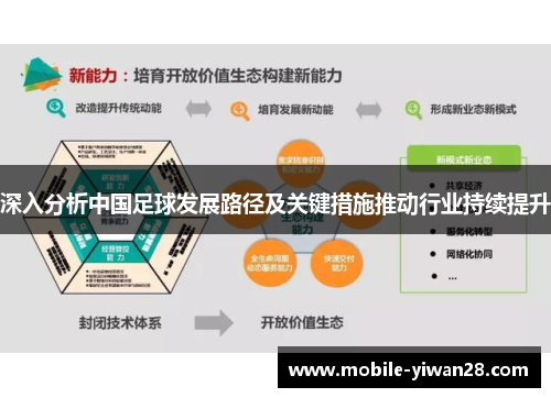 深入分析中国足球发展路径及关键措施推动行业持续提升 深入分析中国足球发展路径及关键措施推动行业持续提升