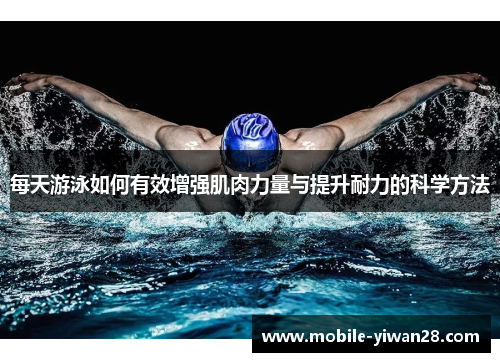 每天游泳如何有效增强肌肉力量与提升耐力的科学方法