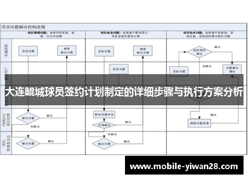 大连鲲城球员签约计划制定的详细步骤与执行方案分析 大连鲲城球员签约计划制定的详细步骤与执行方案分析