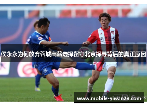 侯永永为何放弃蓉城高薪选择留守北京探寻背后的真正原因