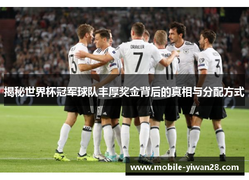 揭秘世界杯冠军球队丰厚奖金背后的真相与分配方式 揭秘世界杯冠军球队丰厚奖金背后的真相与分配方式
