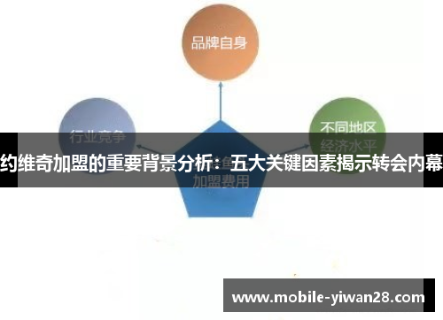 约维奇加盟的重要背景分析:五大关键因素揭示转会内幕 约维奇加盟的重要背景分析:五大关键因素揭示转会内幕