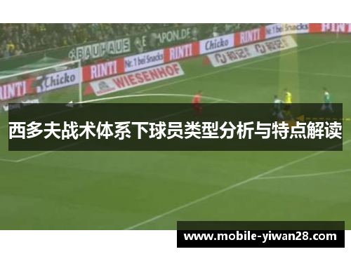 西多夫战术体系下球员类型分析与特点解读 西多夫战术体系下球员类型分析与特点解读