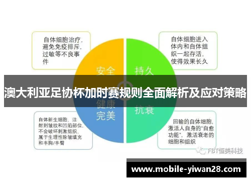 澳大利亚足协杯加时赛规则全面解析及应对策略 澳大利亚足协杯加时赛规则全面解析及应对策略