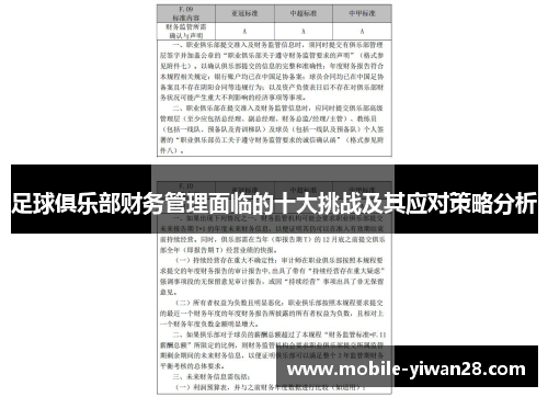 足球俱乐部财务管理面临的十大挑战及其应对策略分析